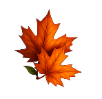Fall leaves
